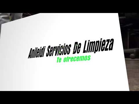 Anileidi Cleaning Services video.