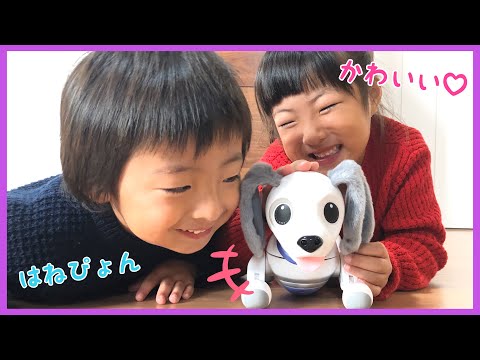 お家に新しい家族 ペットがやってきた！犬型ロボットのハローズーマーで遊んだよ【Hello!Zoomer Omnibot】【寸劇】