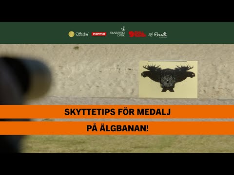 Så lyckas du på älgbanan! | BRA JAKT