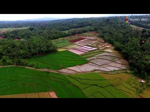 SEKTOR PERTANIAN SUDIMARA