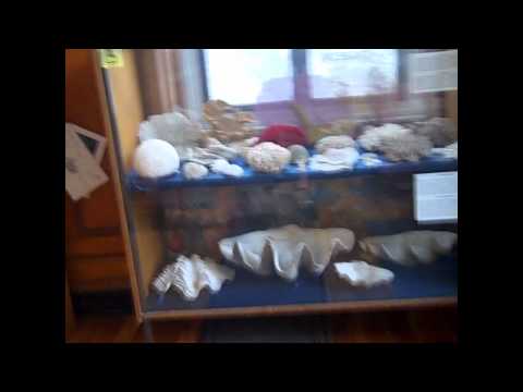 McGill University english trip