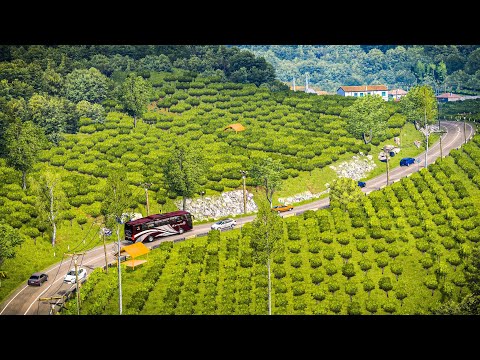 Sundanese x Jateng 3.3 (Indonesian Combo Map) + Hidden Roads - ETS2 1.50 to 1.55