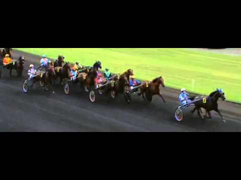 Prix Victor Regis 2013_Akim Du Cap Vert 1:13,5_F. Anne