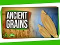 Are Ancient Grains Really Better For You