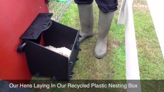 Recycled Plastic Chicken House Nesting Box Demonstration