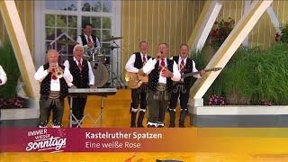 Kastelruther Spatzen - Eine weiße Rose (Immer wieder Sonntags 30.06.2024)