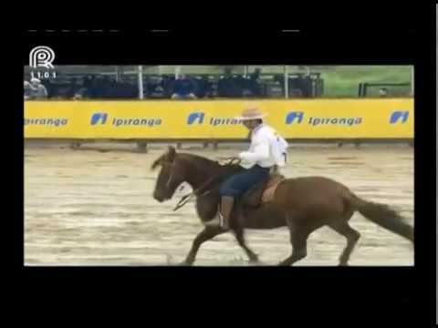 Aberta de Esteio – 3° lugar fêmeas –  Capanegra Quinta Sinfonia