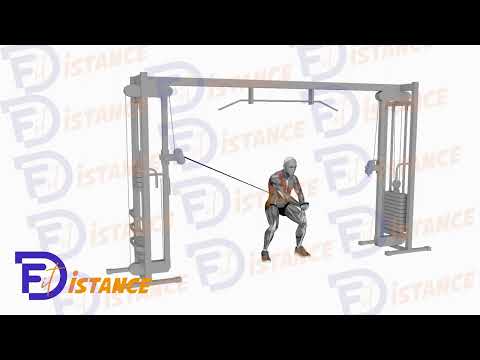 Écartés unilatéral à la poulie haute - Exercice Écartés unilatéral à la poulie haute en vidéo