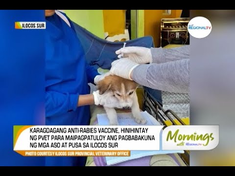 Mornings with GMA Regional TV: Kampanya Kontra Rabies