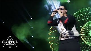 Daddy Yankee - Paris, France (2014) [Live]