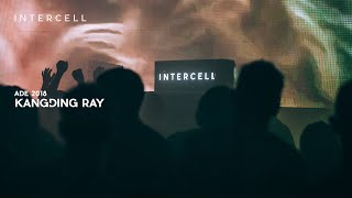 Kangding Ray at Intercell x Stroboscopic Artefacts DJ set