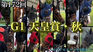 天皇賞秋2025 【メモリアルスタンド4階から】