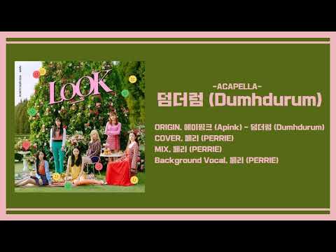 [COVER] Apink (에이핑크) - 덤더럼 (Dumhdurum) [Acapella Ver.]