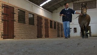 Miniatura do vídeo