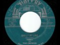 Terry & the Crowns - Shelly my love