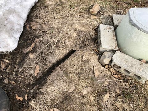 ネズミを堆肥から遠ざけるにはどうすればいいですか？自然で効果的な方法  庭園