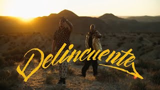 Delincuente Lyrics English Translation