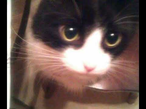 Gitarakuru illusory world