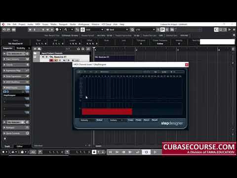 Cubase 11 (nivel 101)