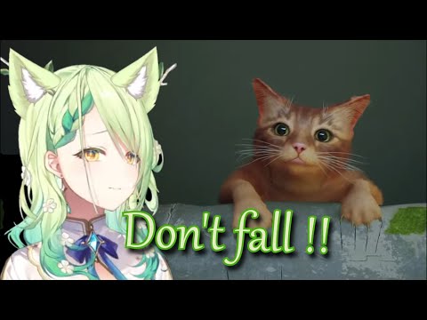 Fauna gets super sad when she sees a cat in distress