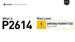 Meaning of OBD p2614
