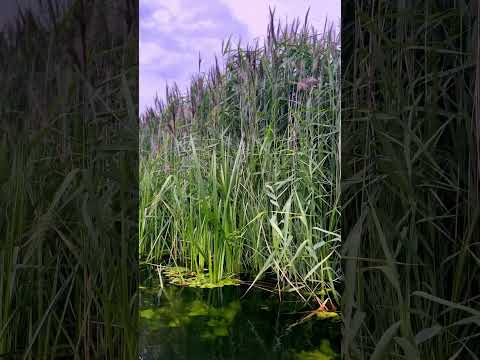 Że na codzień nie bierze, ale dzisiaj jest sobota ...