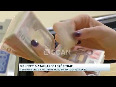 Bizneset, 3.3 miliardë lekë fitime -Tregtia dhe Energjia elektrike me performancën më të lartë