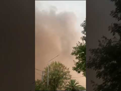 Tempestad de polvo en Guatraché, La Pampa.🎥 Reporte vía @lapampa.tierradetormentas 02/03/26