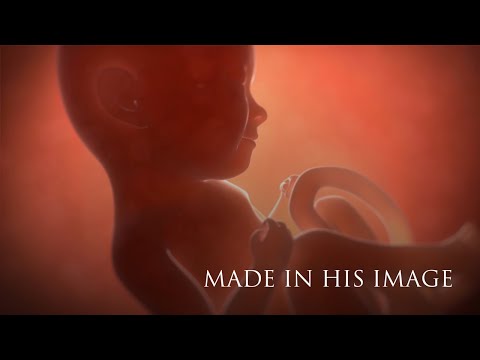 Made in His Image 1: The Miracle of Birth
