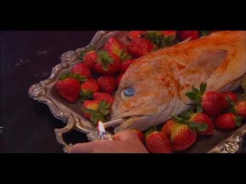 The Mojo Café (Movie Theme Song)