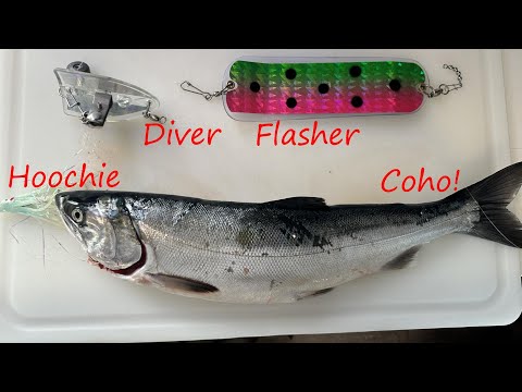 KAYAK Fishing for COHO Salmon with a DEEP SIX DIVER!