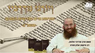 לפוצץ את האשליה | פרשת ראה | ויורנו מדרכיו תשפ"ה | הרב מרדכי וולנוב | 34 (ישיבת ברכת יוסף - אלון מורה) - התמונה מוצגת ישירות מתוך אתר האינטרנט יוטיוב. זכויות היוצרים בתמונה שייכות ליוצרה. קישור קרדיט למקור התוכן נמצא בתוך דף הסרטון לפוצץ את האשליה | פרשת ראה | ויורנו מדרכיו תשפ"ה | הרב מרדכי וולנוב | 34 (ישיבת ברכת יוסף - אלון מורה) - התמונה מוצגת ישירות מתוך אתר האינטרנט יוטיוב. זכויות היוצרים בתמונה שייכות ליוצרה. קישור קרדיט למקור התוכן נמצא בתוך דף הסרטון