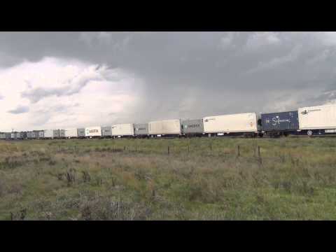 FIE001,FIE002,fie003 flys into Wellington with 8148