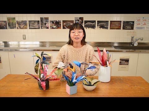 オーストラリアの庭園: 好奇心を刺激する新しい屋外デザインのトレンド  庭園