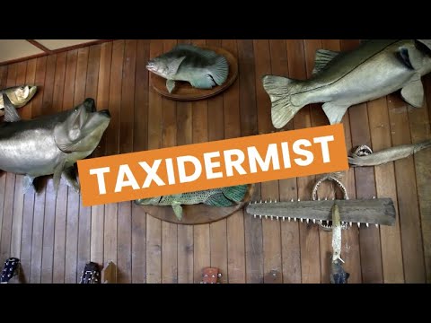 Taxidermist video 1