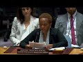 LIVE: UN Security Council discusses maintenance of peace and security in Ukraine - Video