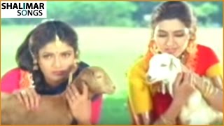 Nava Manmadhuda Video Song  Pelli Sandadi Movie   