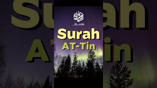 Download lagu Surah At-Tin (The Fig) - Mishary Rashid Alafasy - مشاري بن راشد العفاسي - سورة التين mp3 Download lagu Surah At-Tin (The Fig) - Mishary Rashid Alafasy - مشاري بن راشد العفاسي - سورة التين mp3