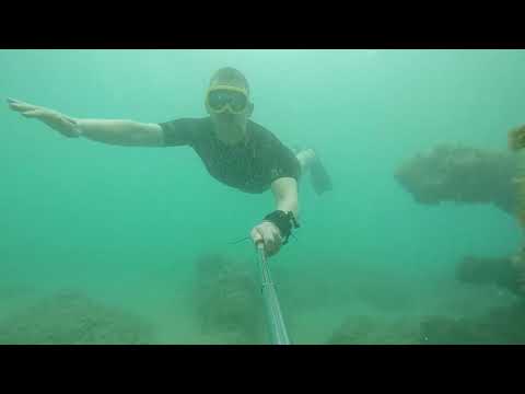 Dłużek - Camping & Pole Namiotowe Mazury / Masuren nr 135