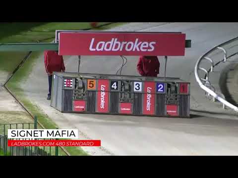 Signet Mafia - LADBROKES COM 480 STANDARD