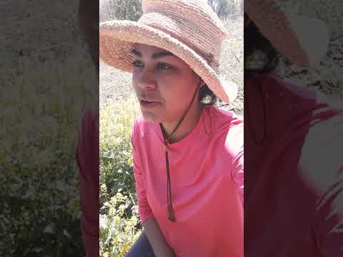 Que el dolor NO te detenga😓Escuchalo!