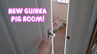 MY NEW GUINEA PIG ROOM!