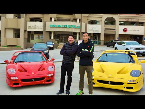 Ferrari F50 Showdown | Ferrari Collector David Lee
