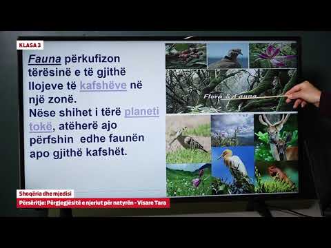 e Mesimi Klasa 3 - 3077 Shoqëria dhe mjedisi - Përsëritje - Përgjegjësitë e njeriut për natyrën