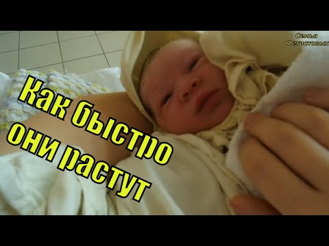 Ване уже два. Кажется только что родился / Семья Фетистовых