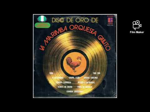Disco De Oro (Hecho En México - Disco Completo) - Marimba Orquesta Gallito “La Soberana”