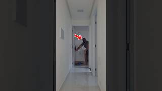 Ele só queria te ALERTAR de uma forma muito estranha #shorts