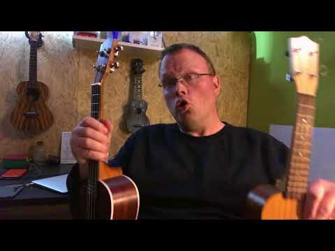 2 Minuten Ukulele - Der Einstieg