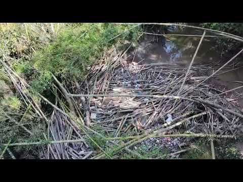 REALIDAD RIO SAN FRANCISCO - GUADUAS CUNDINAMARCA