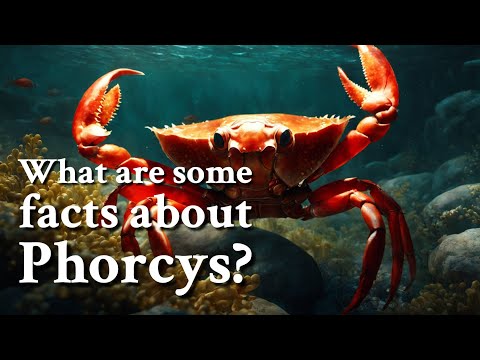 What are some facts about Phorcys? Greek Mythology Story